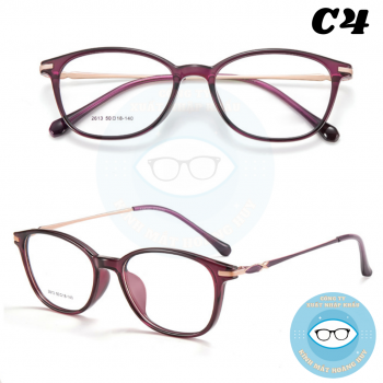 Gọng nhựa nữ mã 2613